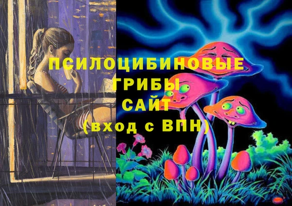 ГАЛЛЮЦИНОГЕННЫЕ ГРИБЫ Армянск