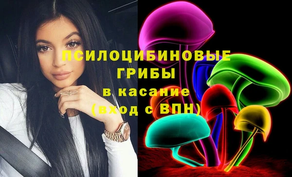 ГАЛЛЮЦИНОГЕННЫЕ ГРИБЫ Армянск