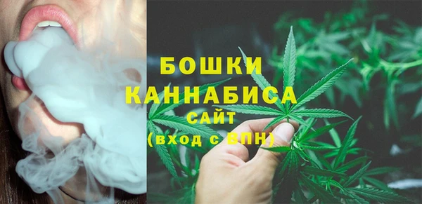 ГАЛЛЮЦИНОГЕННЫЕ ГРИБЫ Армянск