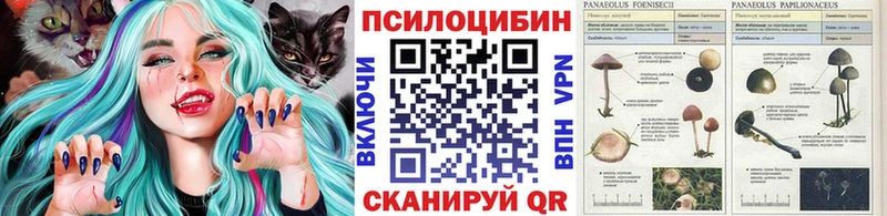 как найти закладки Козьмодемьянск Псилоцибиновые грибы мухоморы